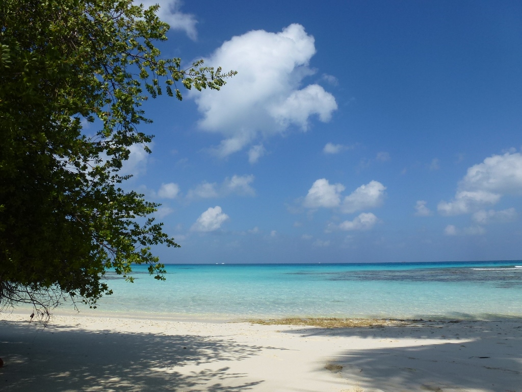 Maldivien