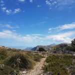 Trockenmauerweg Mallorca